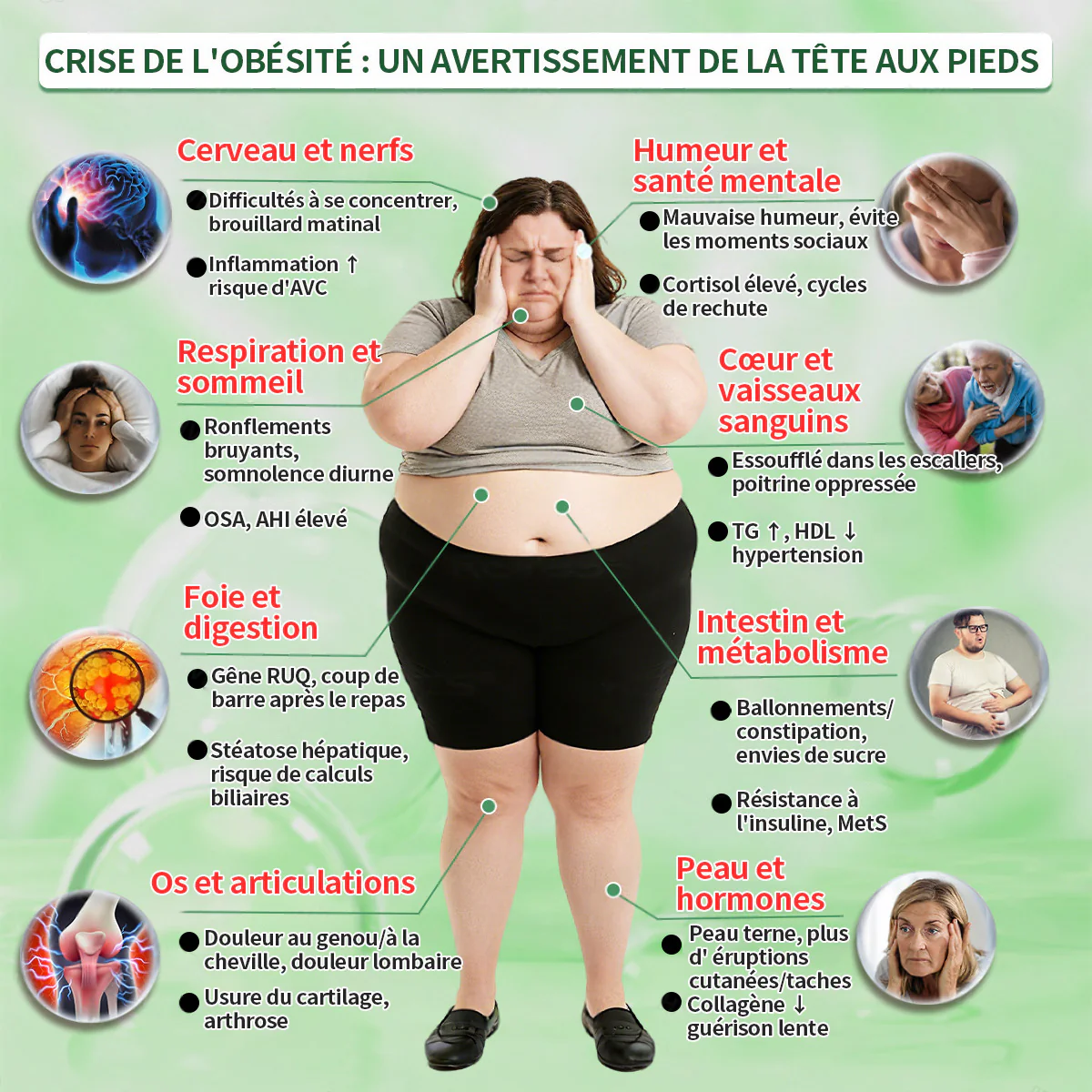 Pharmacie Officielle 🇫🇷🏥 | Purelora® Berbérine 20-en-1 – Sérum Minceur & Bien-être + Patch Nano Microneedle (1 fois par jour, résultats visibles en 7 jours) ✅ Obésité, Diabète, Apnée du sommeil, Problèmes articulaires - Image 2