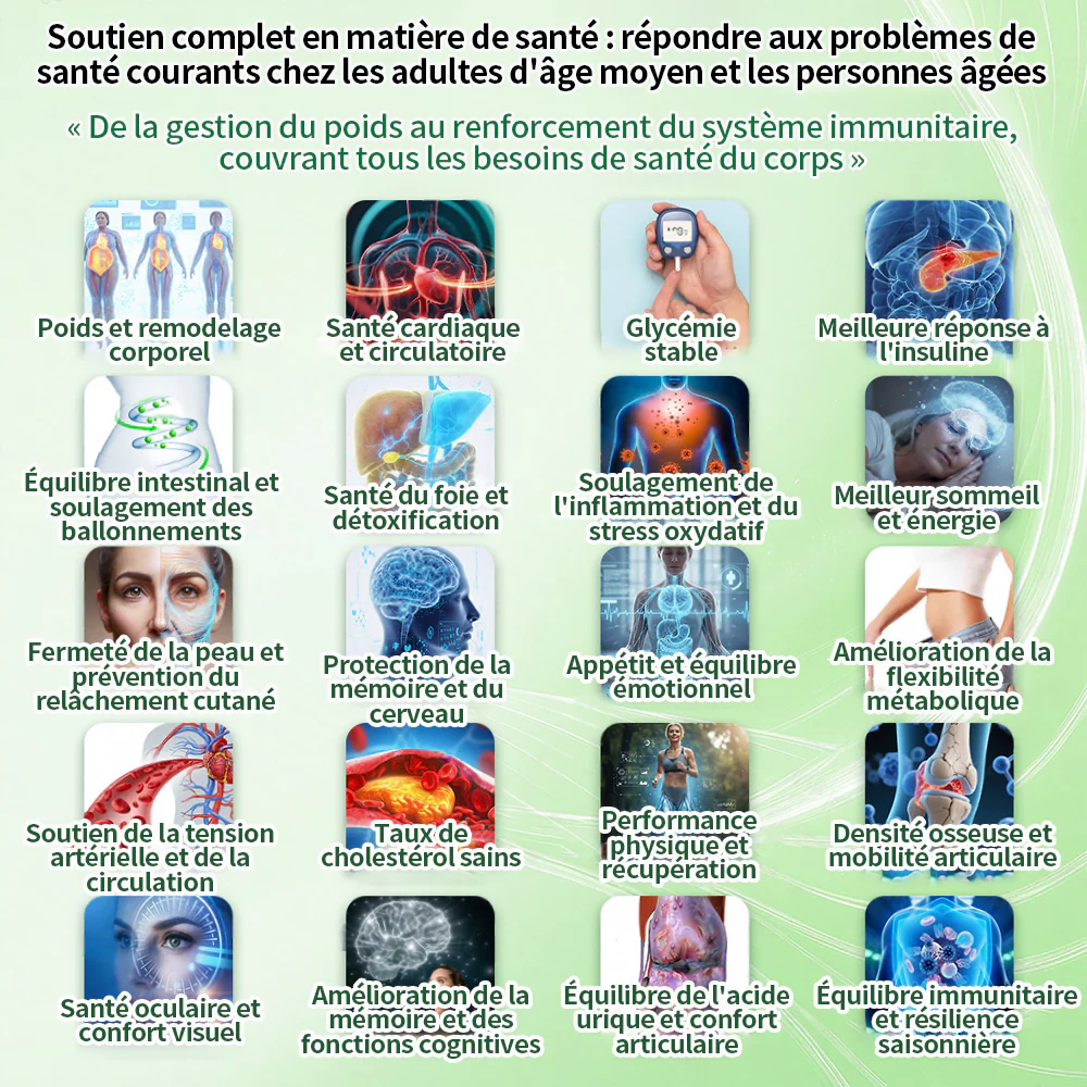 🇫🇷 Nouveauté 2026丨 Purelora® Moringa Berbérine x NAD+ Patch Nano-Microneedle 10-en-1 Une application par jour, changements visibles dès 7 jours. Pour accompagner la gestion du poids et le bien-être global. - Image 5