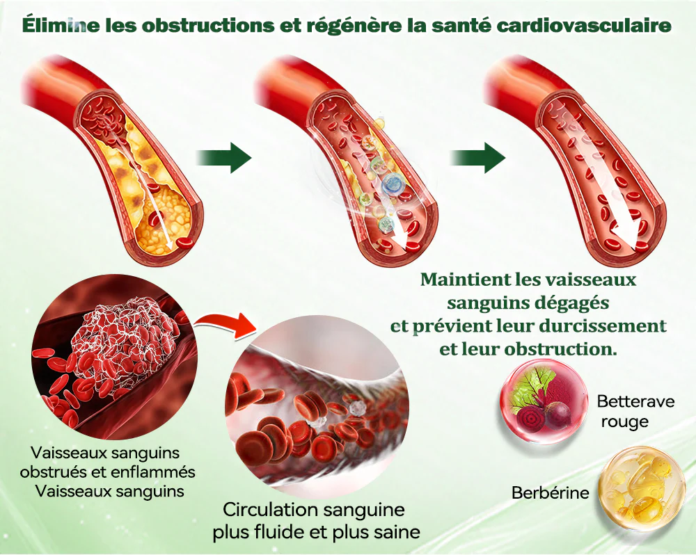🇫🇷 Nouveauté 2026丨 Purelora® Moringa Berbérine x NAD+ Patch Nano-Microneedle 10-en-1 Une application par jour, changements visibles dès 7 jours. Pour accompagner la gestion du poids et le bien-être global. - Image 7