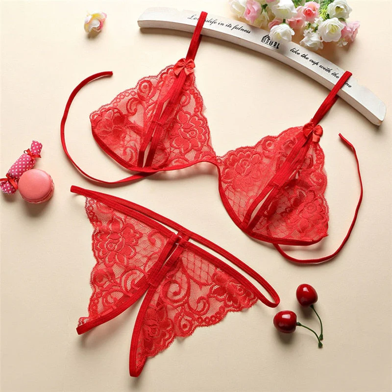 Sexy Lingerie Women Push Up With Lace Straps Transparent Bra Panties Embroidered See Through Comfortable Lingerie Sets Bras - Image 3